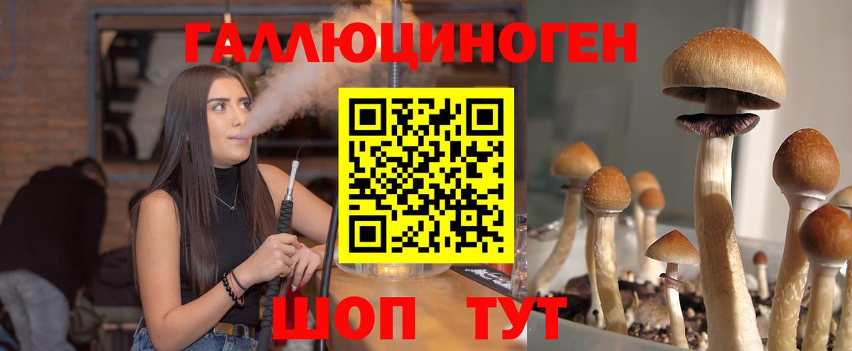 Галлюциногенные грибы Psilocybine cubensis  Галлюциногенные грибы MAGIC MUSHROOMS  Вход с VPN  Светлоград 